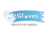 GLOVES - Limpieza Profesional